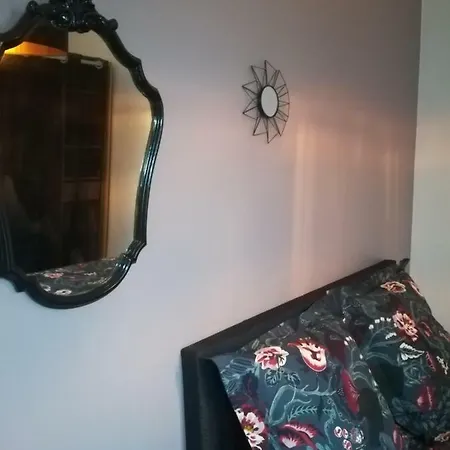 Palais Des Sources Apartament Vichy