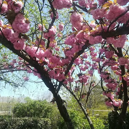 Palais Des Sources *