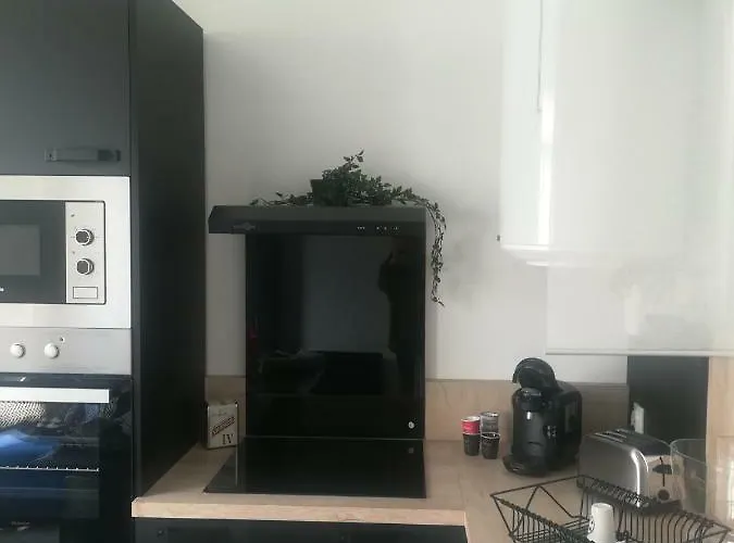 Apartament Palais Des Sources Vichy