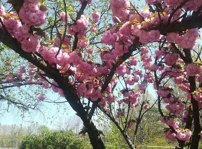 Palais Des Sources *